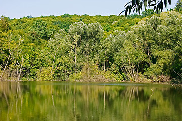 Image showing Forest over the lake