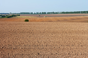 Image showing Field near the village