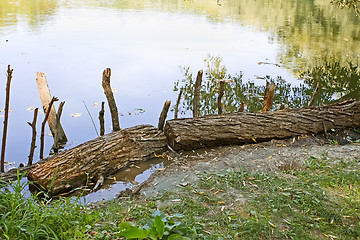 Image showing Wooden logs on the bank