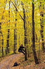 Image showing Autumnal photo in a forest