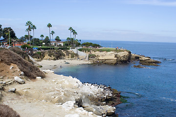 Image showing Beach in La Jolla