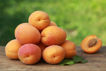 Image showing Fresh Apricots