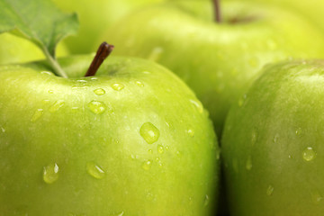 Image showing Green apples