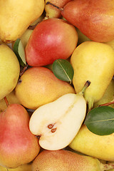 Image showing Pears