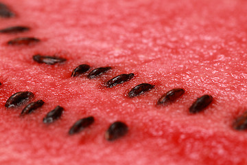 Image showing Close-up of a watermelon