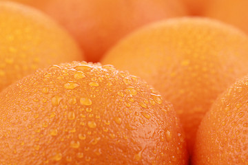 Image showing Oranges