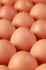 Image showing Brown eggs in a row
