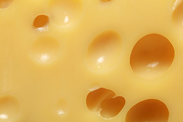 Image showing Cheese with holes