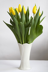 Image showing Tulips