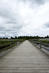 Image showing Wooden Bridge