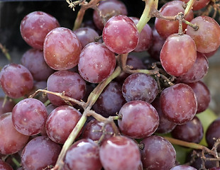 Image showing purple grapes