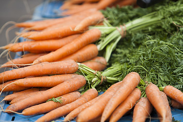 Image showing Carrot