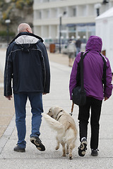 Image showing Walking the Dog