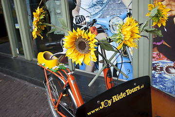 Image showing Flower Bike