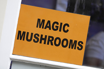 Image showing Magic Mushrooms