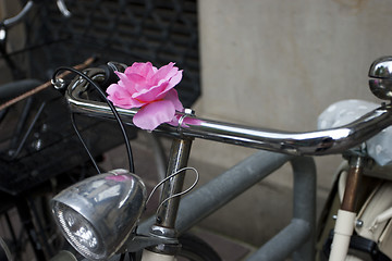 Image showing Flower Bike