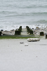 Image showing Sea Slip