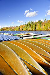 Image showing Canoe rental on autumn lake