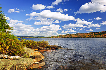 Image showing Autumn lake shore