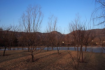 Image showing Winter Scene