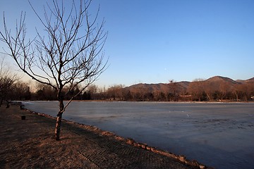 Image showing Winter Scene