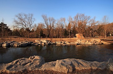 Image showing Winter Scene