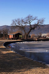 Image showing Winter Landscape