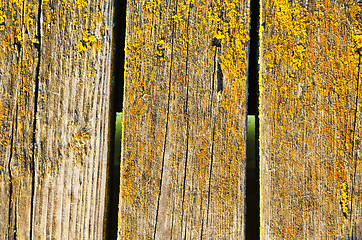 Image showing Background of mossy wooden bridge board closeup 