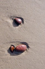 Image showing Colored stones on wet beach sand rinsed by waves. 