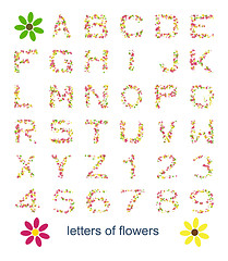 Image showing letters of flowers