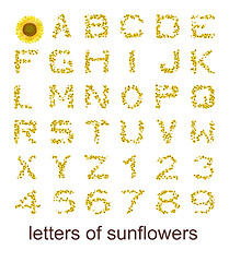 Image showing letters of sunflowers