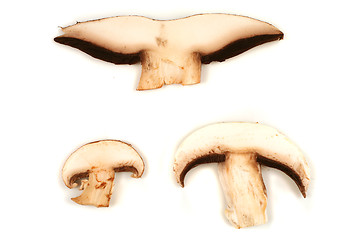 Image showing Mushroom slices