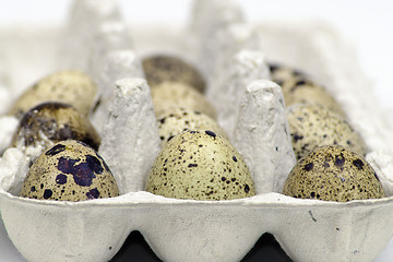 Image showing Eggs in box