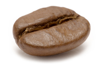 Image showing Single Coffee Bean