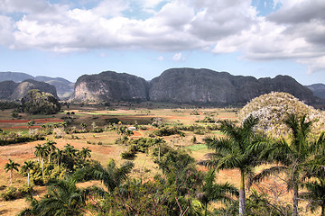 Image showing Vinales, Cuba