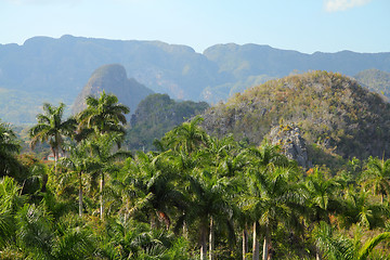 Image showing Cuba - Vinales National Park