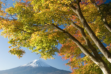 Image showing Mount Fuji in Fall VI