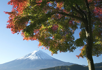 Image showing Mount Fuji in Fall V