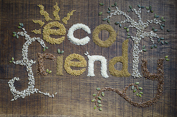 Image showing The phrase 'Eco Friendly', written and decorated in seeds