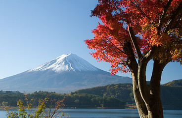 Image showing Mount Fuji in Fall VII