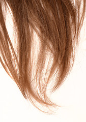 Image showing woman hair