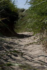 Image showing Beach Path