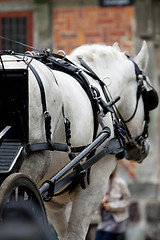 Image showing Horse Carriage