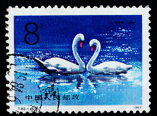 Image showing A Stamp printed in China shows swan, 1983