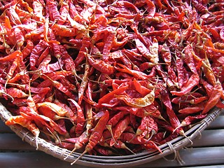Image showing Red Chilli