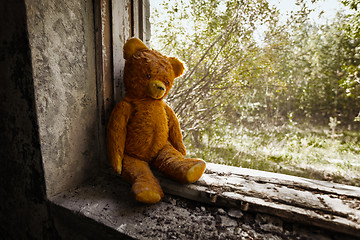 Image showing Old toy bear abandoned in the ruins.