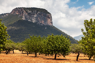 Image showing Puig d'Alaro