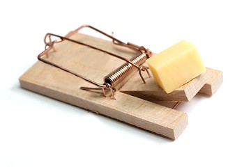 Image showing mouse trap with cheese