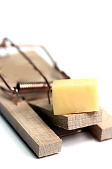 Image showing mouse trap with cheese