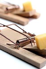 Image showing mouse trap with cheese